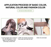 Bremod Premium Series Ash Blonde Hair Color Set Directions