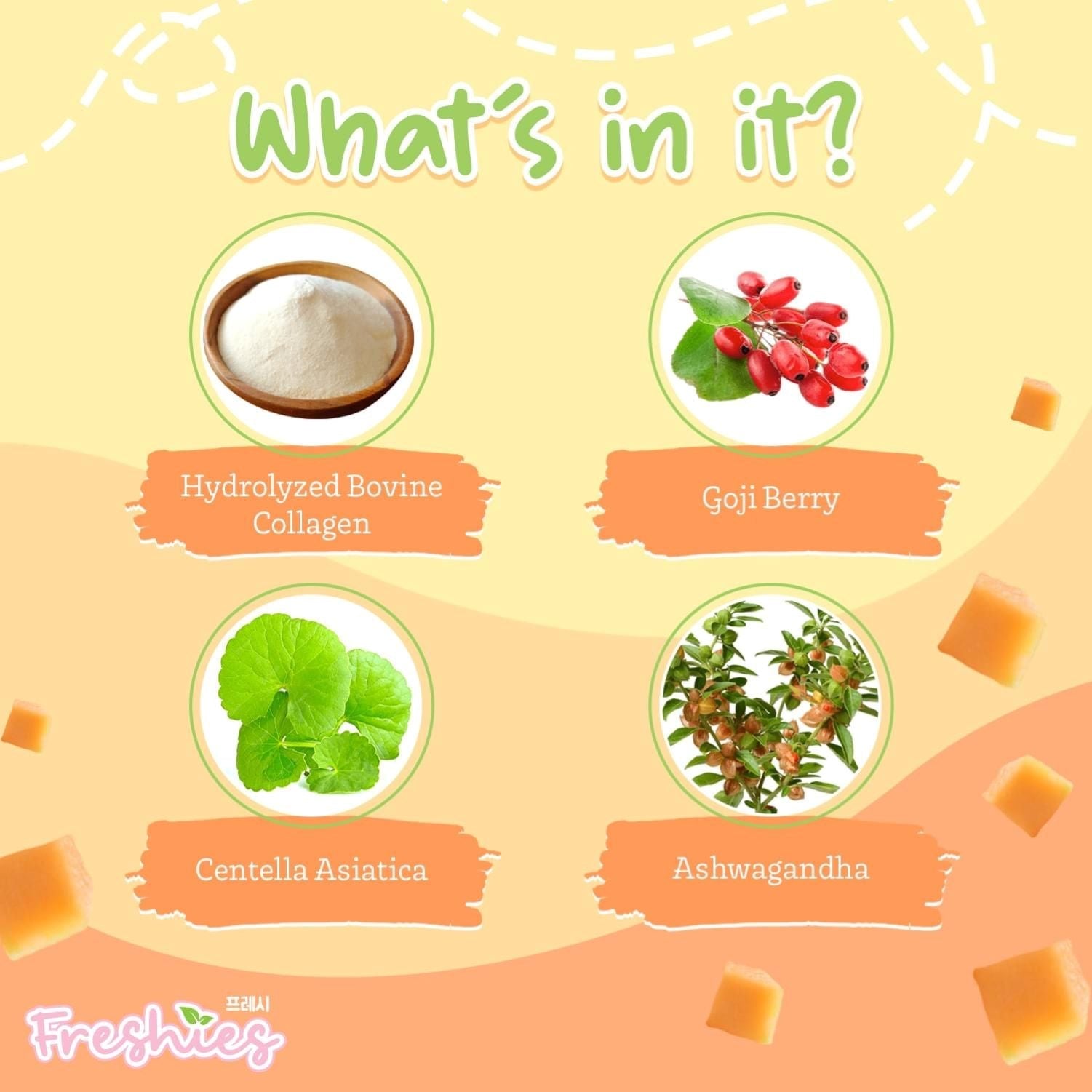 Freshies AVOCADO & MELON Milk Collagen Drink by Juju Glow