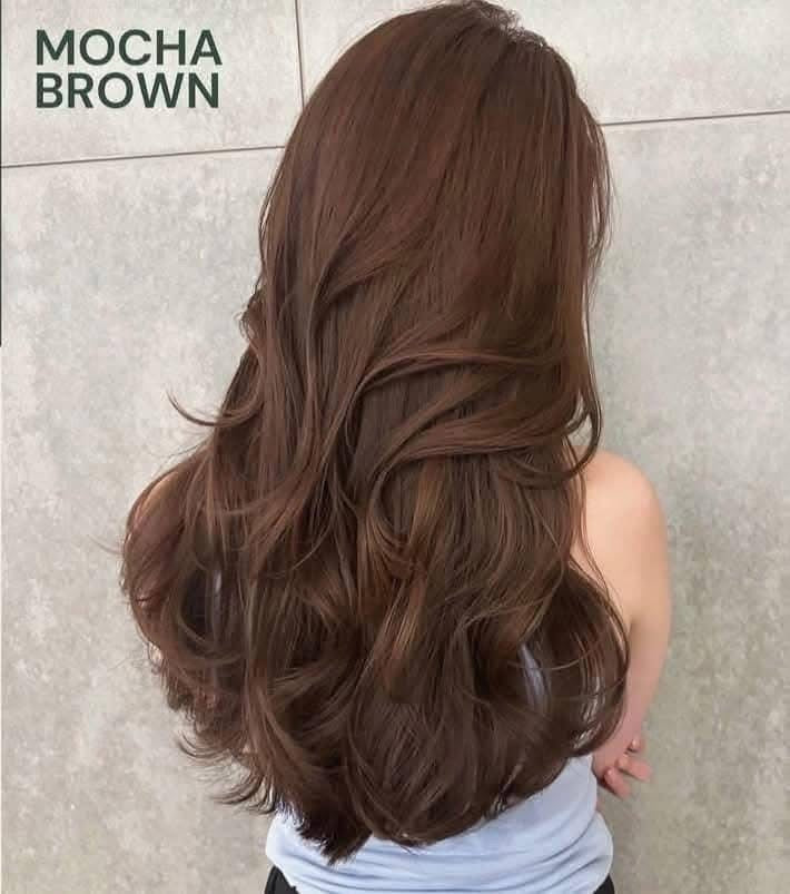 Bremod Premium Series Mocha Brown Hair Color Set
