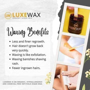 LuxeWax Organic Sugar Wax + SCT Sunflower Oil