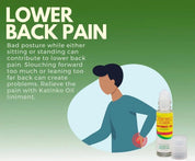 6 Pack Katinko Oil Liniment Rollerball Applicator, 10ml