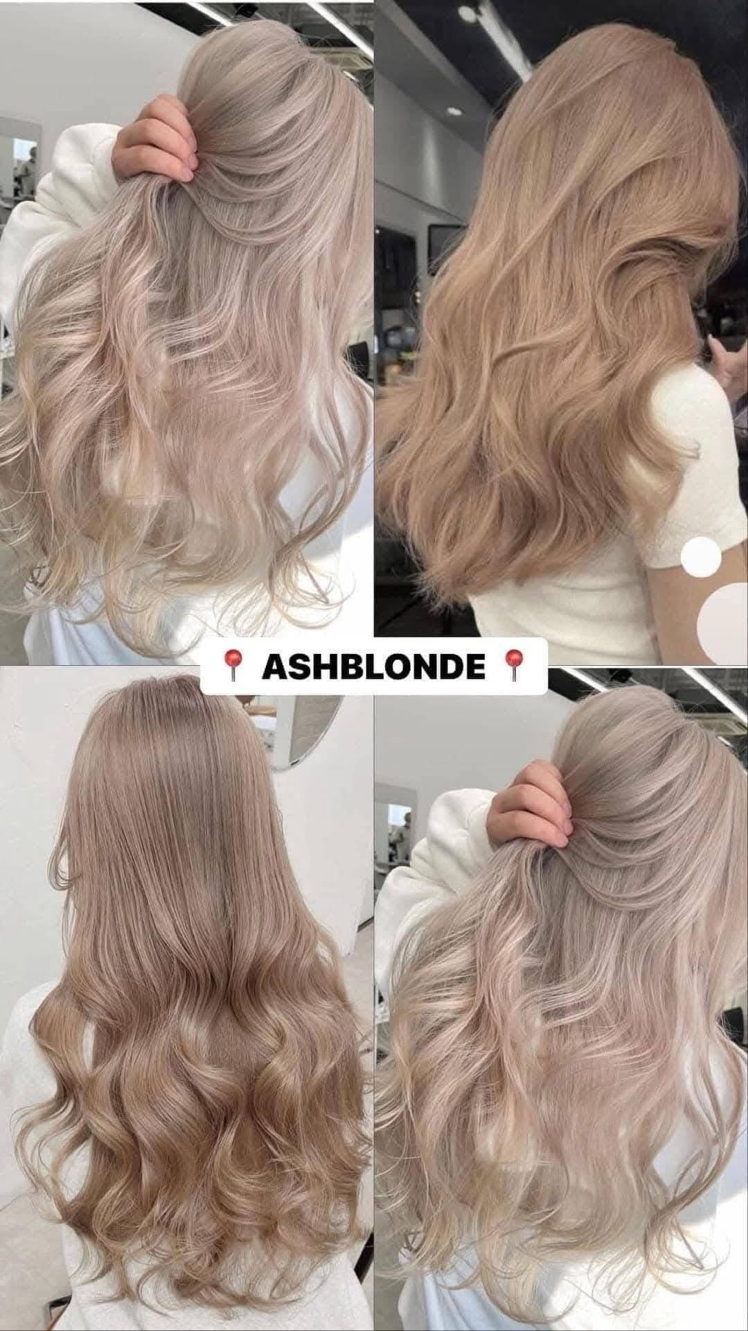 Bremod Premium Series Ash Blonde Hair Color Set