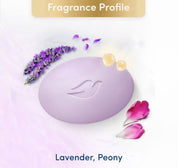 DOVE Radiant+Care Serum Bar – Triple Serum Blend with Niacinamide, Vegan Collagen & Omega 6 | Nourishing Body Cleansing Bar for Smooth, Radiant & Moisturized Skin | 90g x 3 Bars (3 Variants to Choose From)