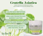 Her Choice PH Centella Asiatica Premium Repair Skincare Set – Facial Foam Wash, Hydrating Toner, Soothing Serum & Moisturizing Cream with Camellia Oil, Aloe Vera, Niacinamide & Hyaluronic Acid – Korean Formula