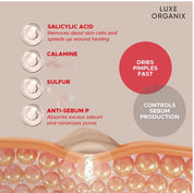 LUXE ORGANIX 2 in 1 Acne Rescue Mud Powder - Overnight Pimple Drying Treatment (9g) - Unclogs Pores & Controls Excess Sebum