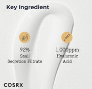 COSRX Advanced Snail Duo (Power Essence + All in One Cream)