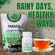 Chef Ayb's Paragis (Goose Grass) Herbal Tea - 100% Natural, Caffeine-Free Herbal Drink - 2g Sachets, 10 Count